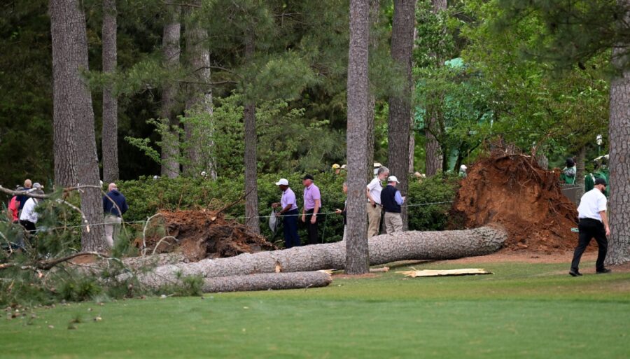 Peur au Masters d’Augusta, deux arbres tombent près du public