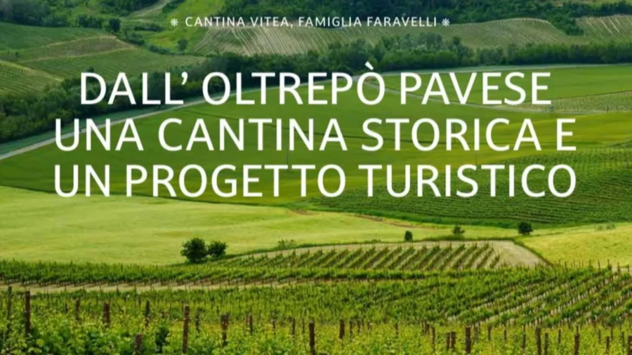 Antonio Faravelli et ses vins sont également présentés dans des magazines spécialisés